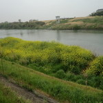 鬼怒川 竹やぶ - 目の前を流れる鬼怒川