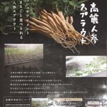 創作四川料理 廣明 - 高麗人参スプラウト