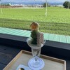 お茶村