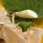 創作四川料理 廣明 - 