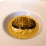 コートロティ - 