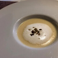 コートロティ - 