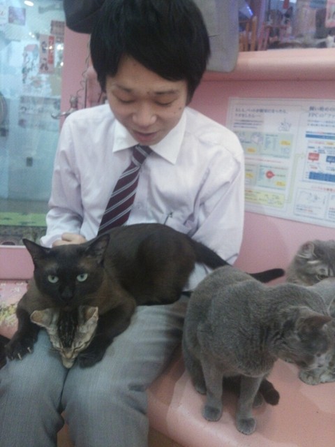 初めて猫カフェにきました 抱っこできる猫カフェはなかなかありません 最初にここに来ちゃう By Masturbysk 猫カフェ ねこのて 錦糸町 その他 食べログ 初めて猫カフェにきました 抱っこできる猫カフェはなかなかありません 最初にここに来ちゃう By Masturbysk 猫カフェ ねこのて 錦糸町 その他 食べログ