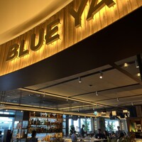 BLUE YARD - 