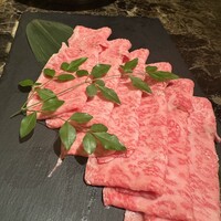 Shangri-La's secret ROPPONGI - 