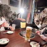 焼肉 まつおか - 