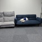 ダイニングキッチン アオヤマ - 