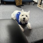 ダイニングキッチン アオヤマ - 