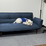 ダイニングキッチン アオヤマ - 