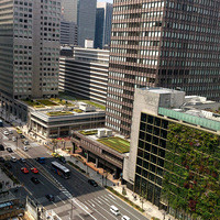 花ごよみ  東京 - 上から見ると東京には意外と緑が沢山ありました。