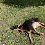 フェルム ラ・テール 美瑛 - 