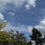 インデアンレストラン  ニューミラ - 