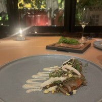 XEX TOKYO / Salvatore Cuomo Bros. - 