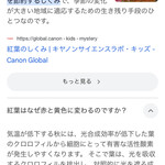 インデアンレストラン  ニューミラ - 