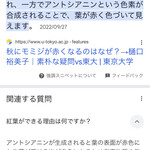 インデアンレストラン  ニューミラ - 