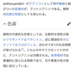 インデアンレストラン  ニューミラ - 