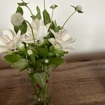 シルバー ライニング - 