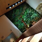 フォレスト・テーブル - 