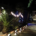 ラ・パルム・ドール - 