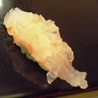 鮨みなと - 絶品のボタン海老