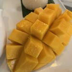 Make Me Mango - 