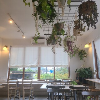 ハヤマ ブレッド クラブ_2