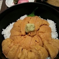 函館うに むらかみ 日本生命札幌ビル店 - 函館戸井産無添加うに丼、大盛り。