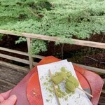 本家力軒 - 抹茶の粉がの苦味があり濃厚　青紅葉と良い感じ