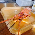 海女小屋はちまんかまど - 