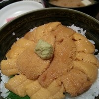 函館うに むらかみ 日本生命札幌ビル店 - 函館戸井産無添加うに丼。