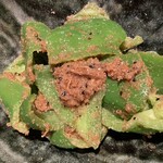 泉 - ピーマンの胡麻味噌和え