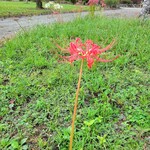 人吉温泉 華まき温泉 - 