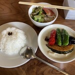 インソムニア - グリーンカレー