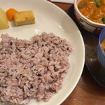 初台スパイス食堂 和魂印才たんどーる - 202407