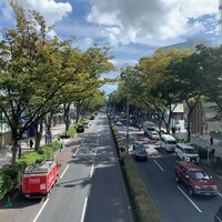 やさい家めい 表参道ヒルズ店 - 