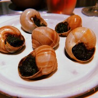 Benoit Alain Ducasse - 