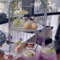 渋谷 Blue bird - 