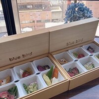 渋谷 Blue bird - 