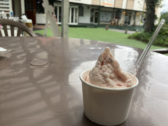 北軽井沢ジェラート 星野ファーム - 長野原町その他/ジェラート