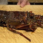 乙味 あさ井 - 伊勢海老