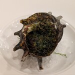 海のごちそう WATANABE - 