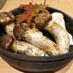 266395638 - 青森産松茸