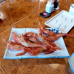 お宿 お食事処 鱗晃荘 - 朝捕れ活縞海老