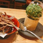 鮨・酒・肴 杉玉 - 