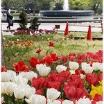 日比谷パレス - 