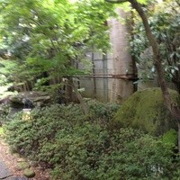 梁山泊 - 