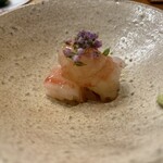 まつむら - ぼたんえび