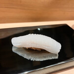 奥 - アオリイカ