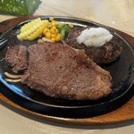テイスター - 