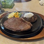 テイスター - 
